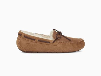 UGG Dakota Womens Slippers Chestnut/ Brown - AU 204TU